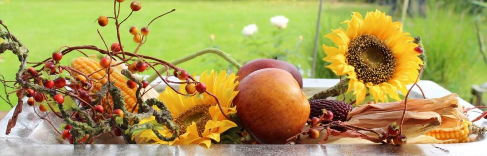 Dekoideen für den Sommer von Tischdeko-online. Unsere Tischdeko, Wohndeko und andere Raumdeko für den Sommer